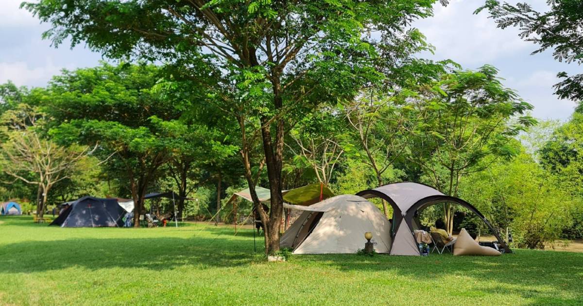 Bambusa Camp